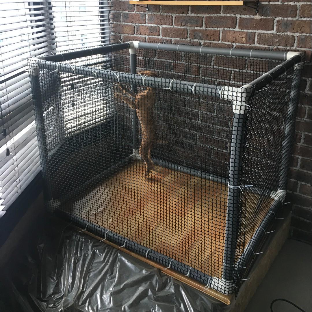 Homemade puppy playpens online