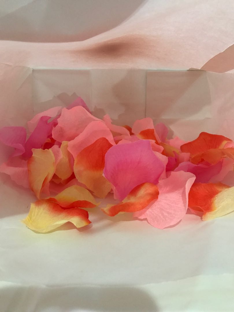 Plastic rose petals, Hobbies & Toys, Stationery & Craft, Occasions