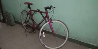 Sepeda pixie ungu bs nego sampe jadi. BU