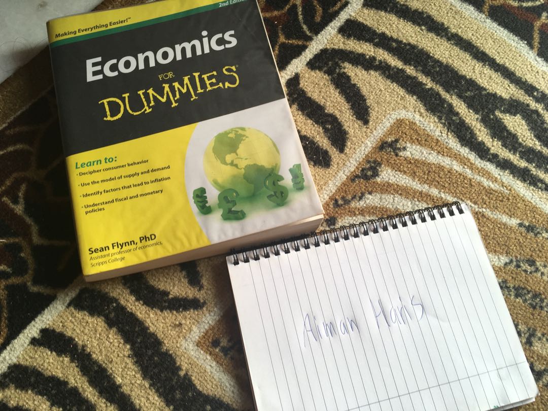Economics for Dummies, Hobbies & Toys, Books & Magazines, Textbooks on