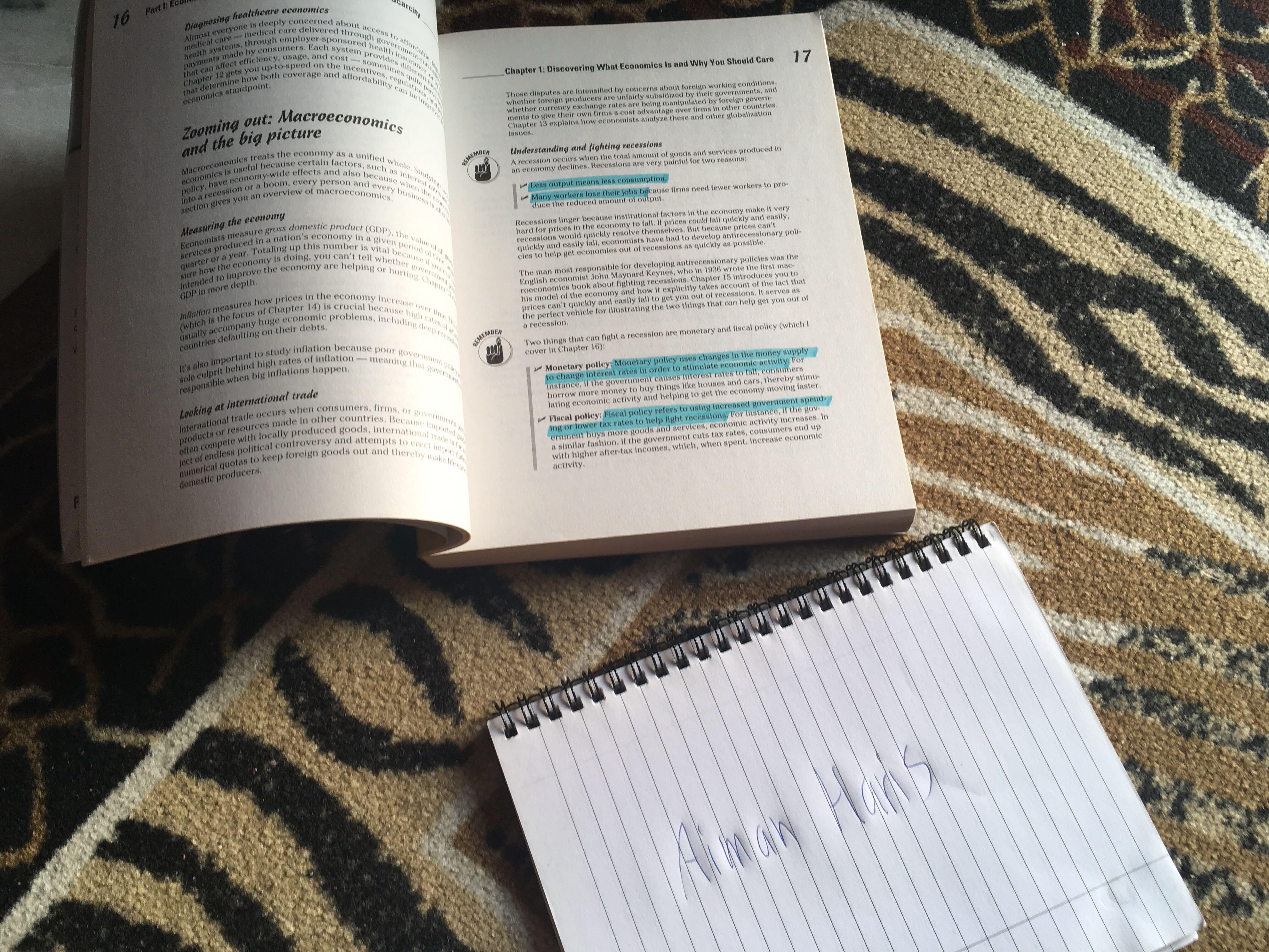 Economics for Dummies, Hobbies & Toys, Books & Magazines, Textbooks on