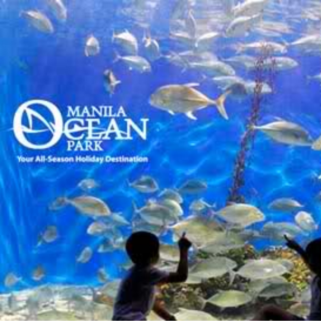 Manila Ocean Park Show