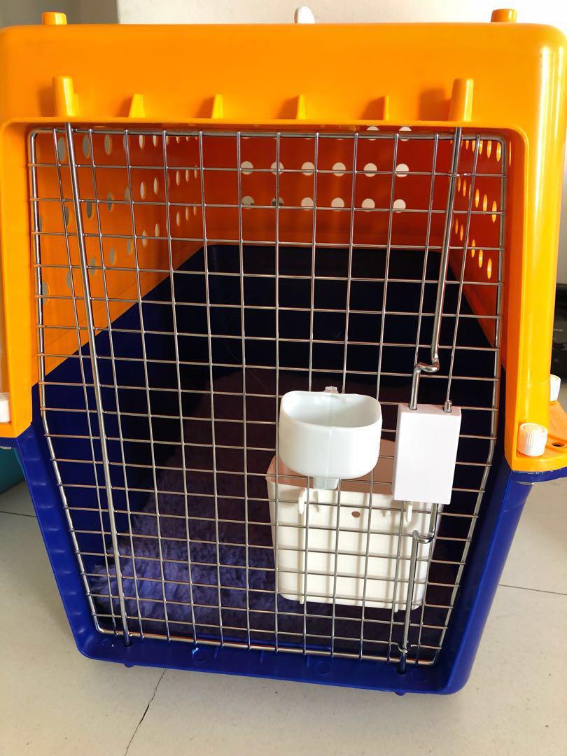 PP40 Airline approved large dog/cat crate carrier , Pet Supplies, Homes