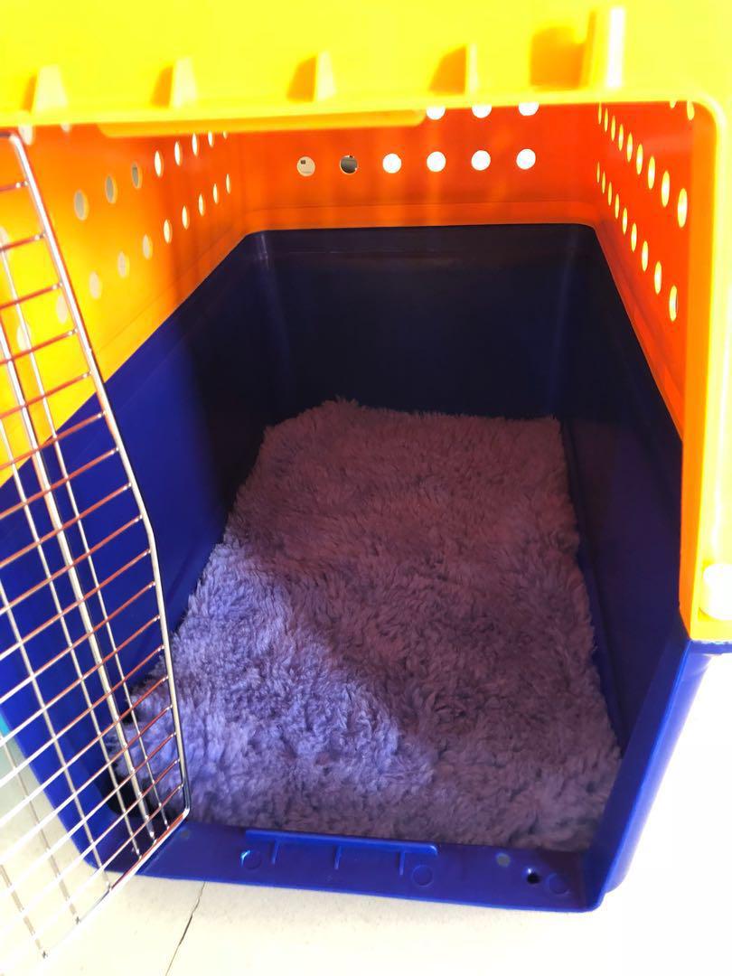 PP40 Airline approved large dog/cat crate carrier , Pet Supplies, Homes