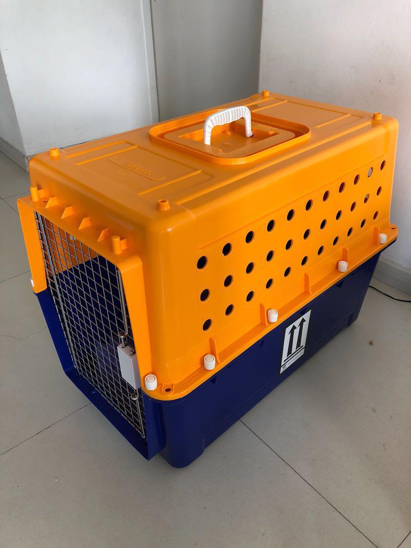 PP40 Airline approved large dog/cat crate carrier , Pet Supplies, Homes