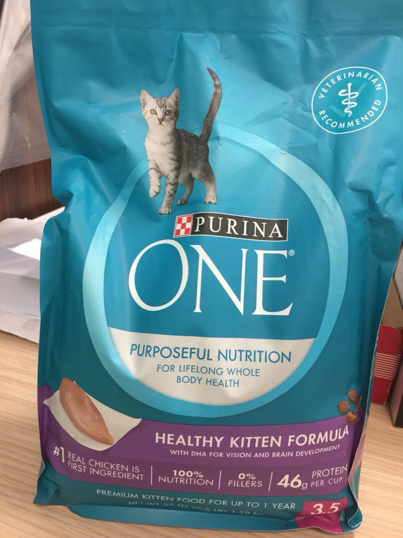 healthy kitten formula