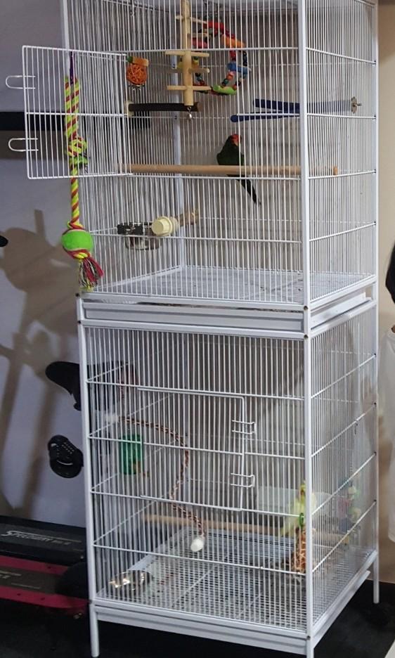 2 tier bird cage