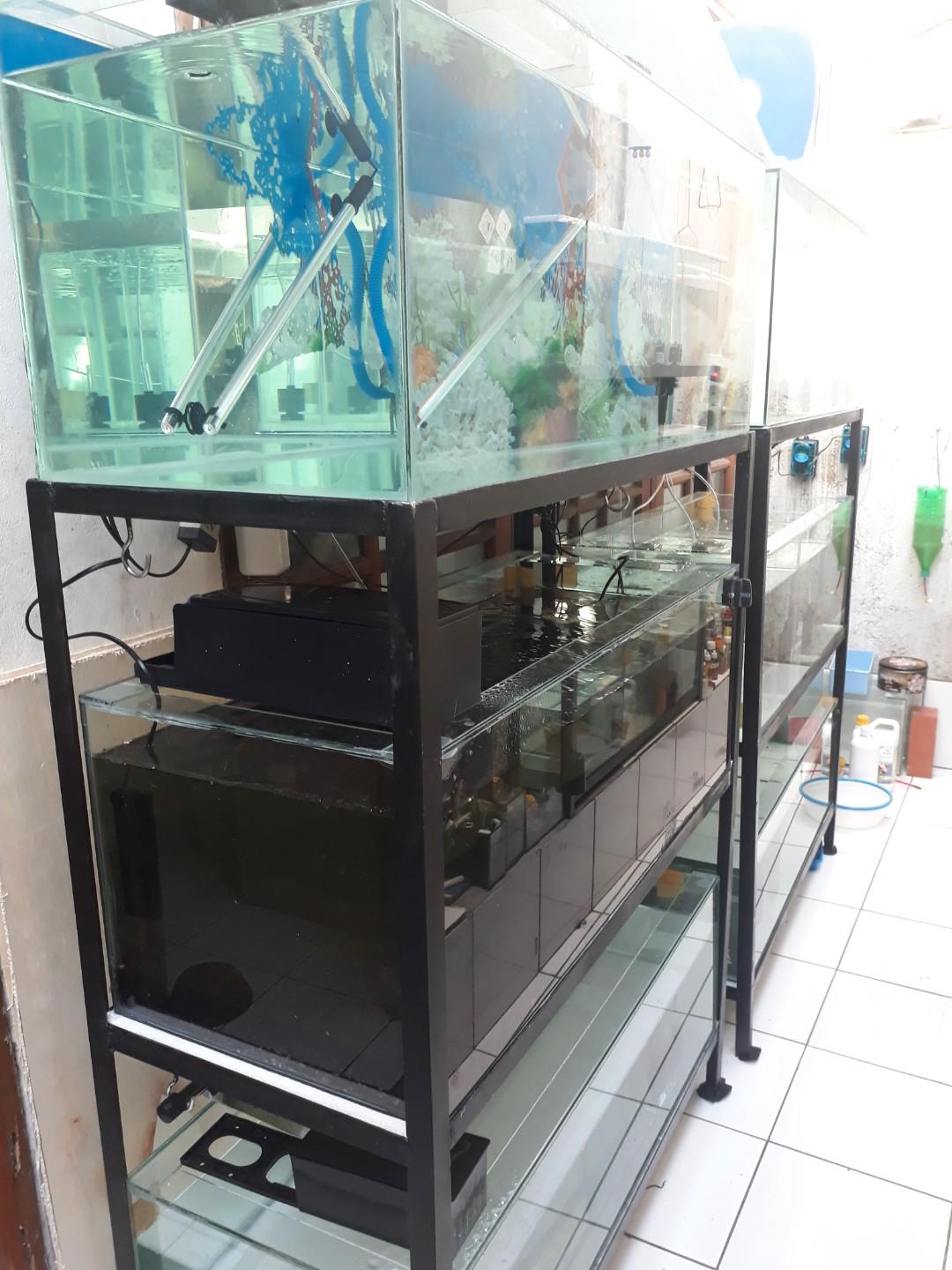 Rak Aquarium Dan Alatnya Perlengkapan Hewan Aksesoris Hewan Di Carousell