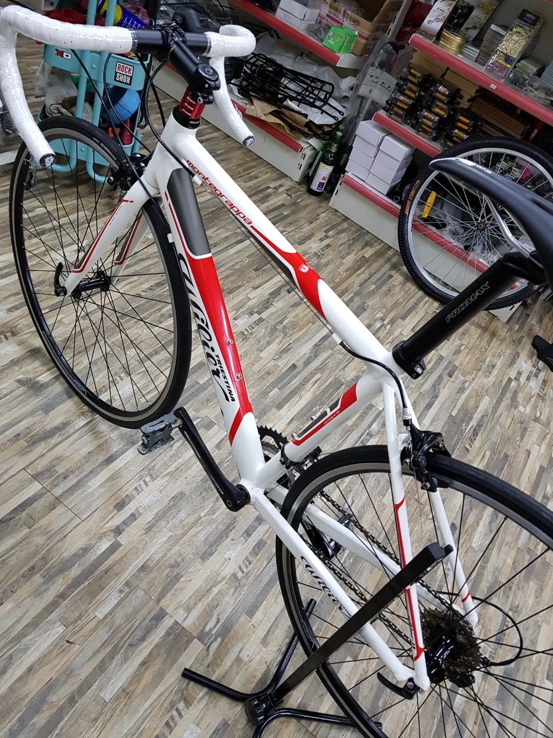 wilier triestina montegrappa 2014