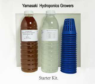 hydroponic starter kit