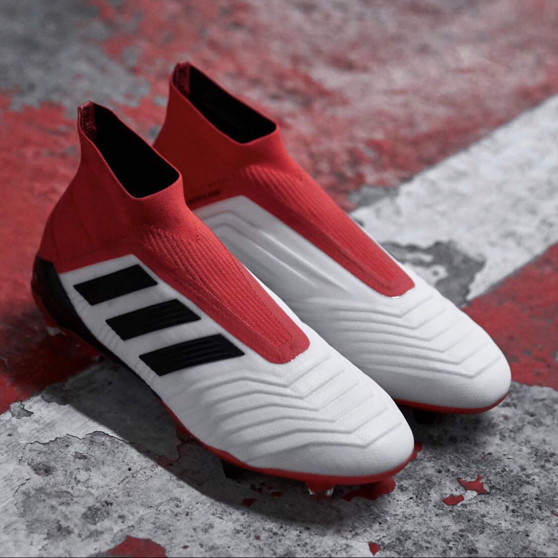 predator18