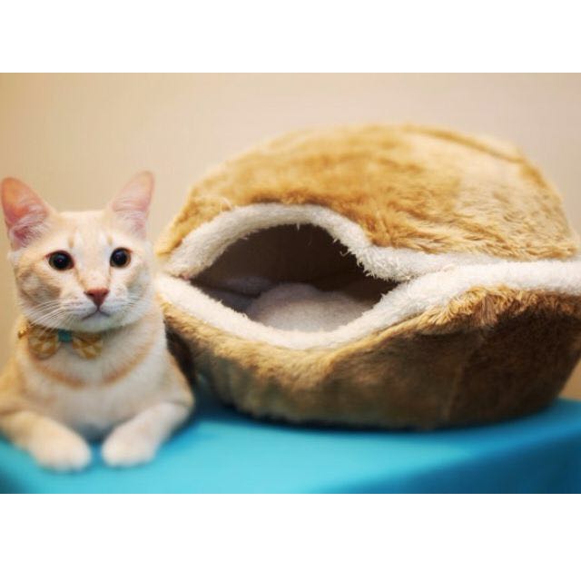 Cat macaron bed 2025