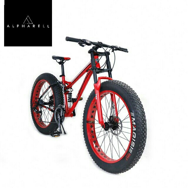 affordable fat bike