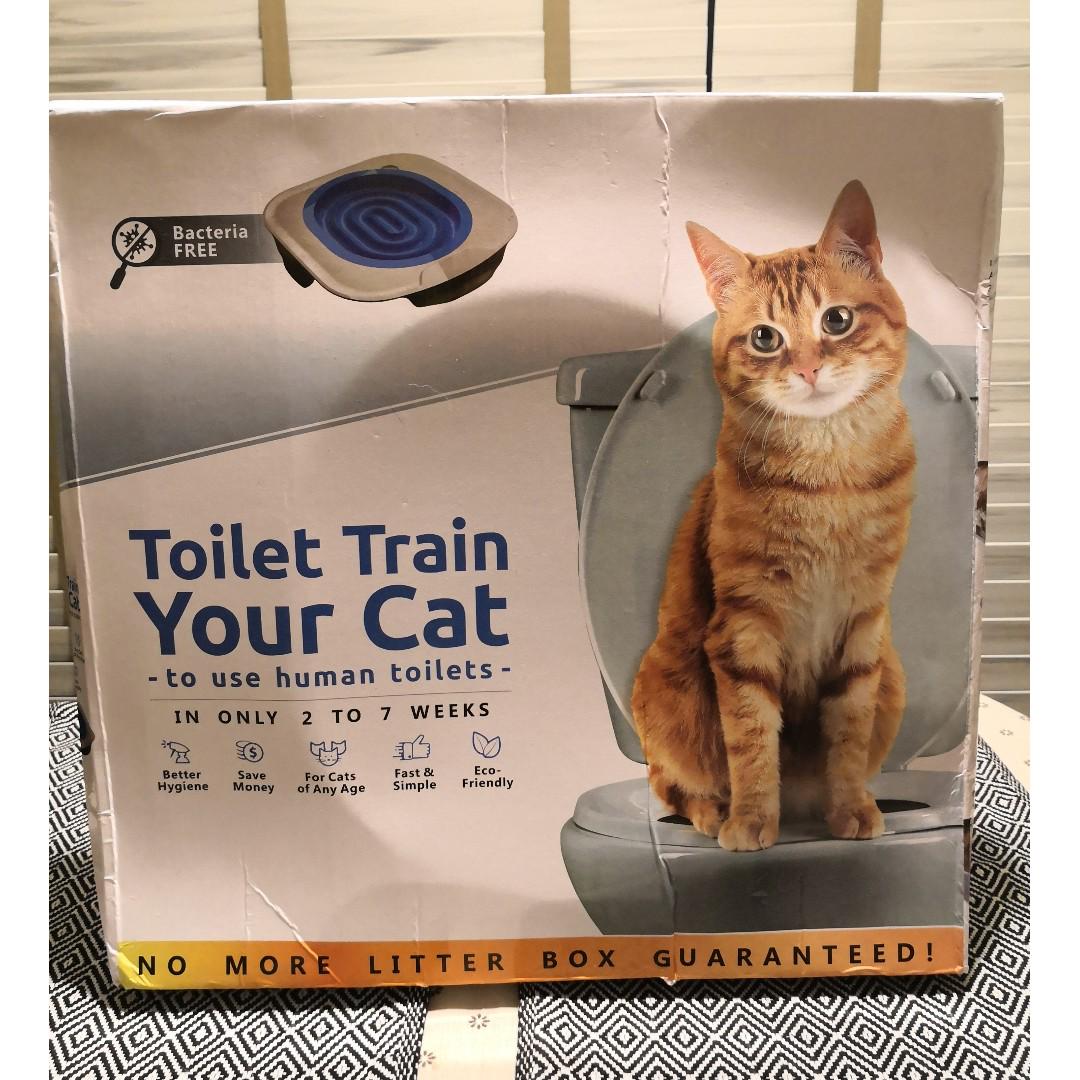 Reduced Toilet Training Seat Free Bag Of Flushable 100