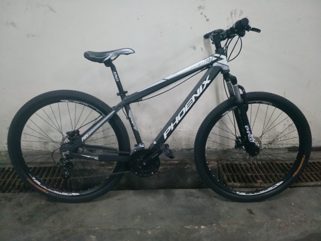 Phoenix shop mtb 29er