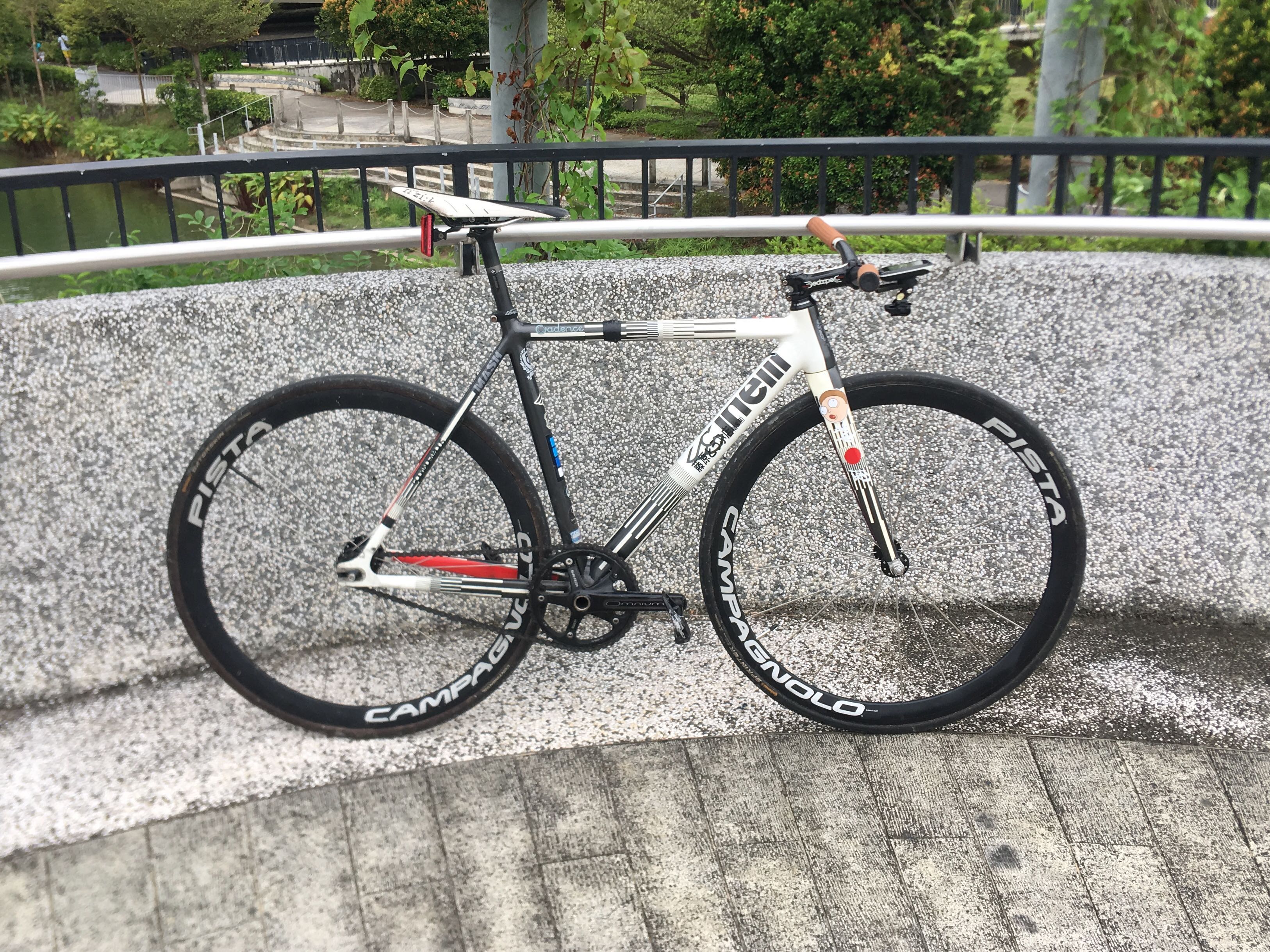 campagnolo fixie
