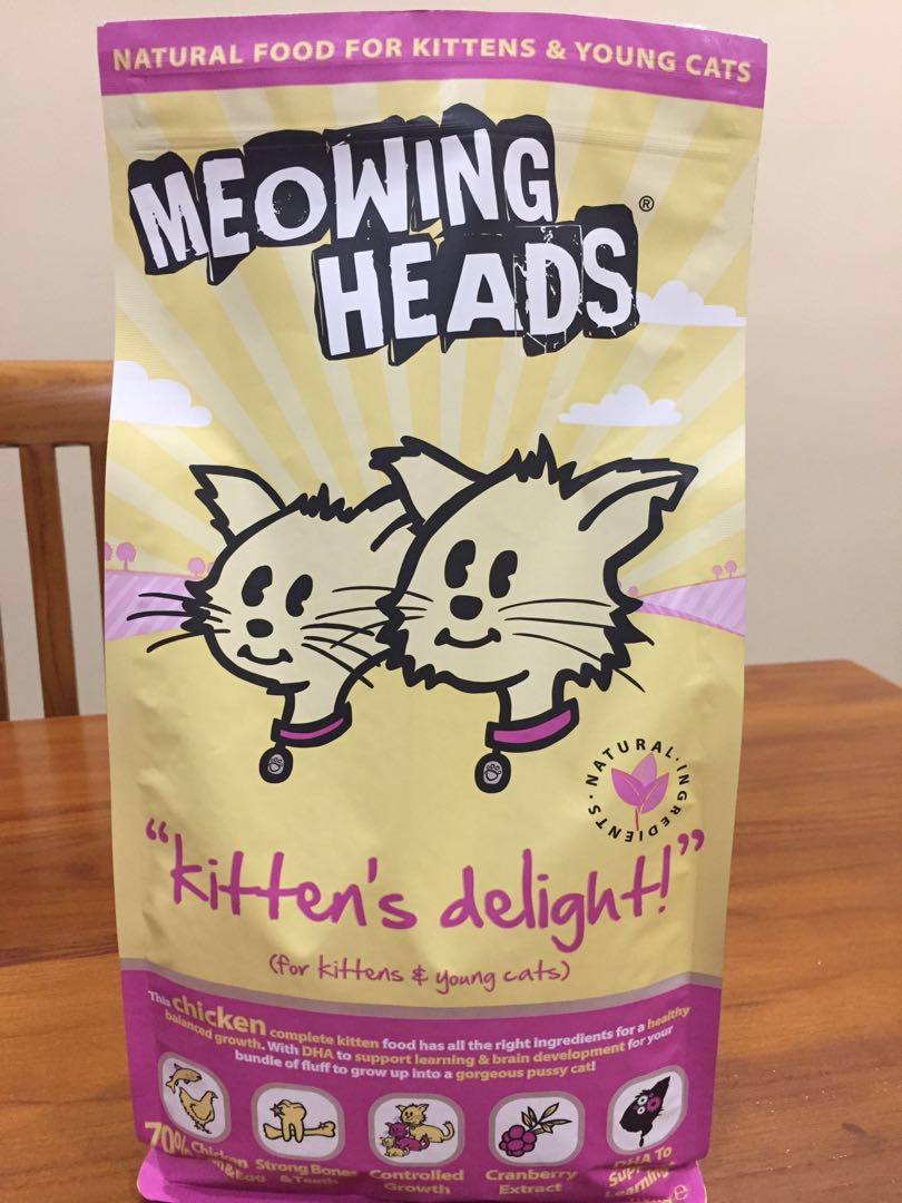 meowing heads kitten