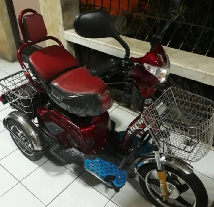 erv ebike price