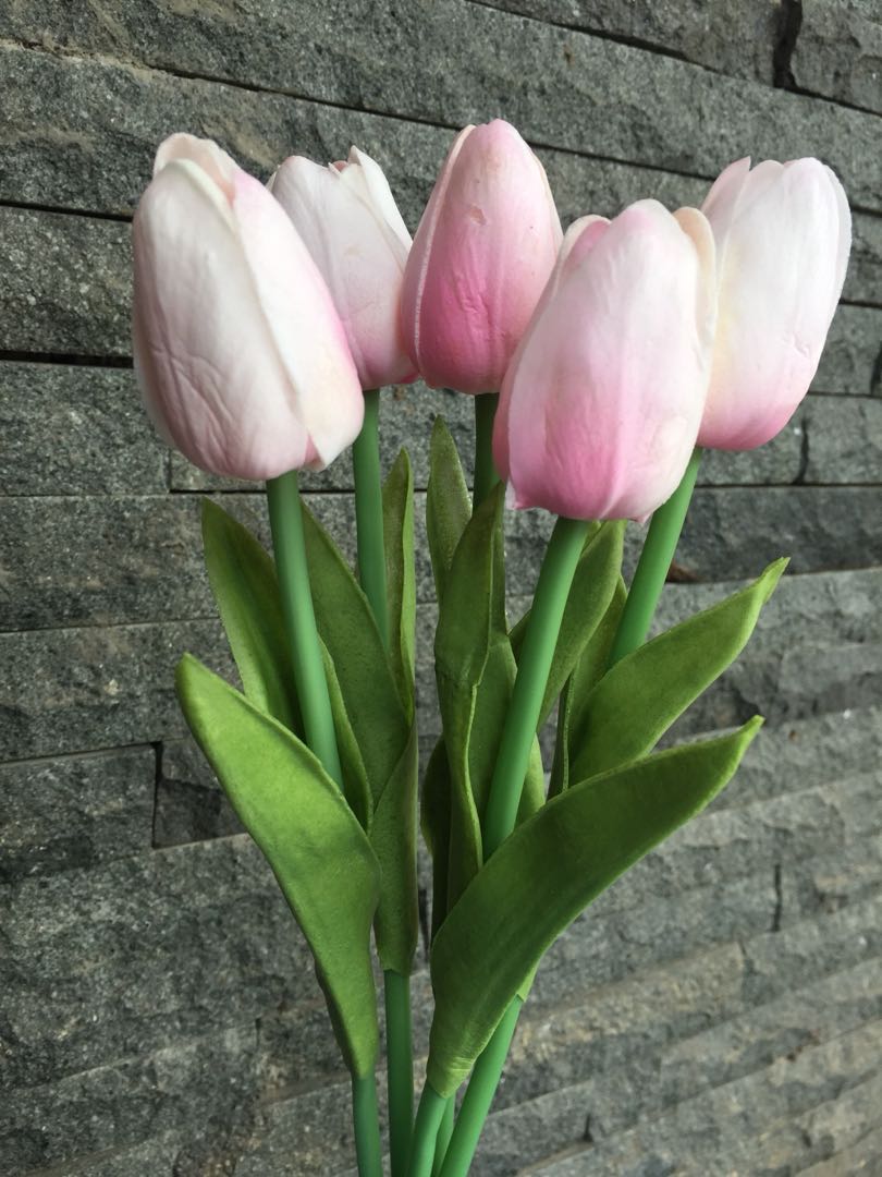 Bunga Tulip Latex Perabotan Rumah Di Carousell