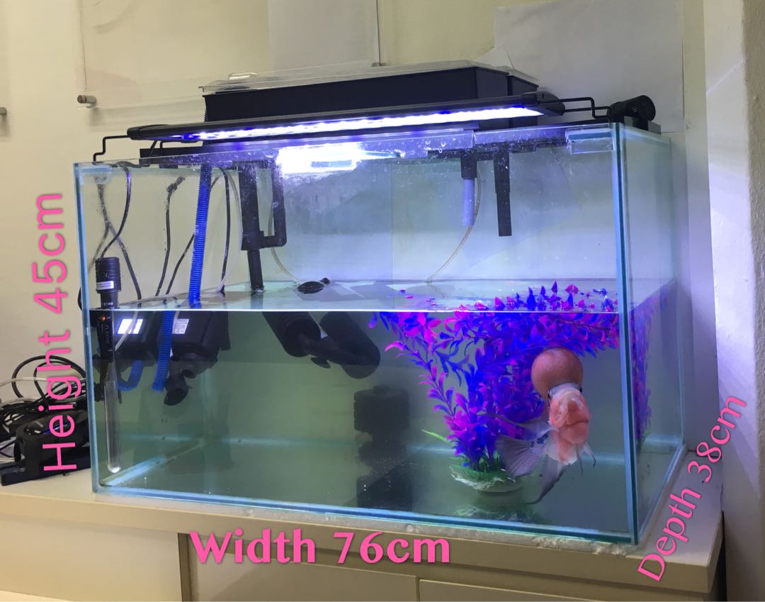 120l store fish tank