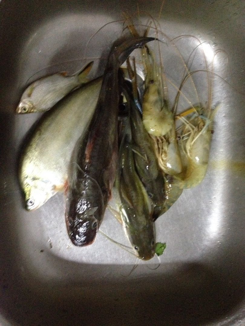 Ikan Sungai Baung Lampam Udang Galah Food Drinks Instant Food On Carousell