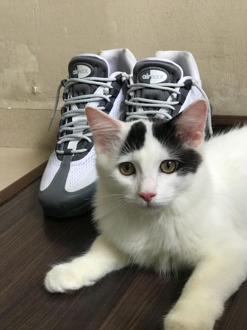 Nike Air Max 95 Essential White Grey Men S Fashion Footwear Sneakers On Carousell