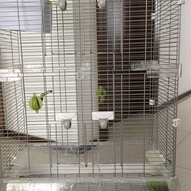 Bird cage second hand 2025