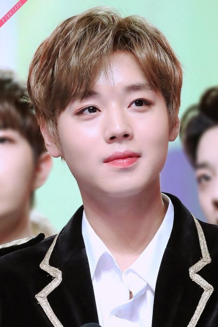 Wanna One Kpop Kwave Entertainment K Wave On Carousell