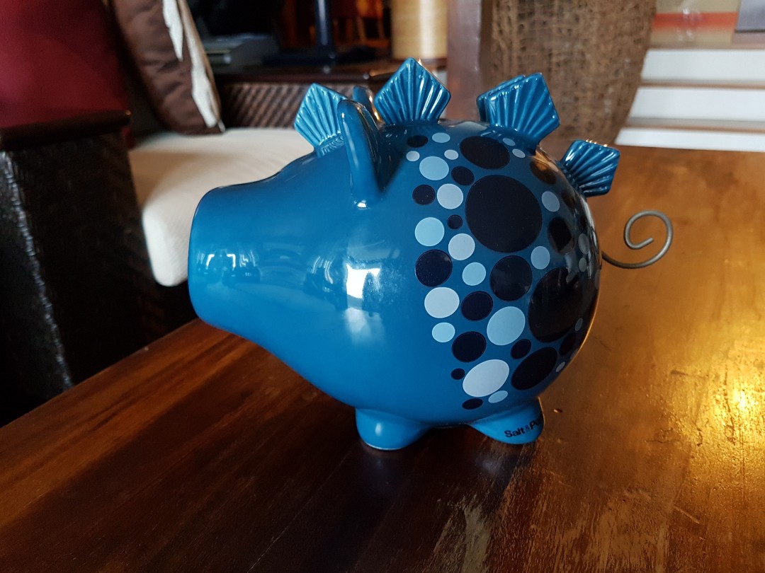 Salt & Pepper S&P Piggy Bank, Everything Else on Carousell