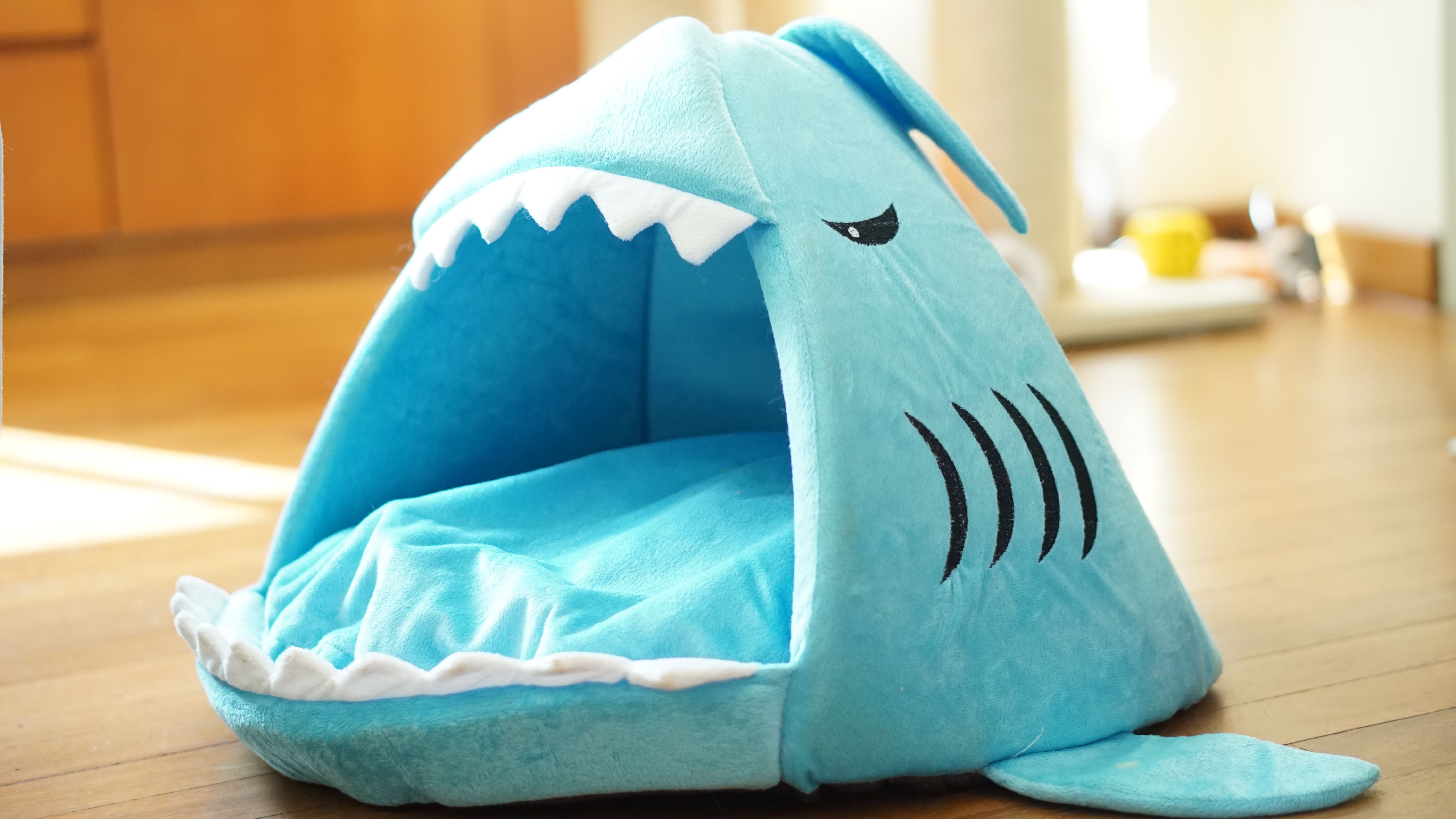 Shark Cat Bed House Pet Supplies For Cats Accessories On Photo