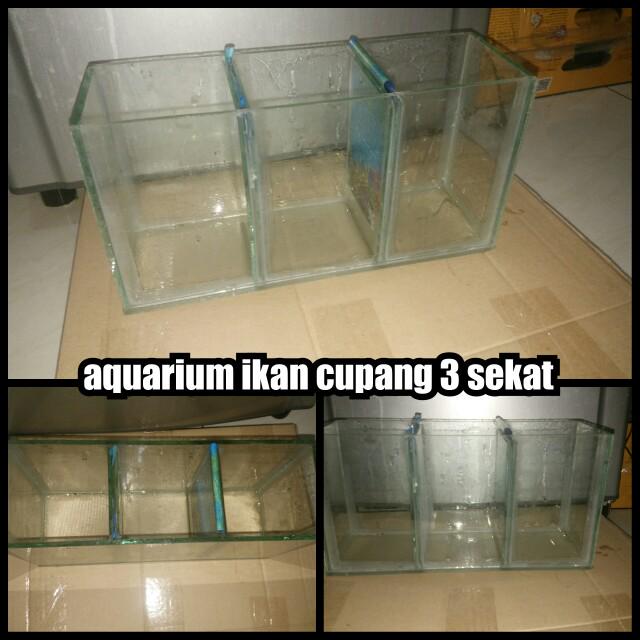 Aquarium Ikan Cupang Murah 3 Sekat Pet Supplies Accessories On