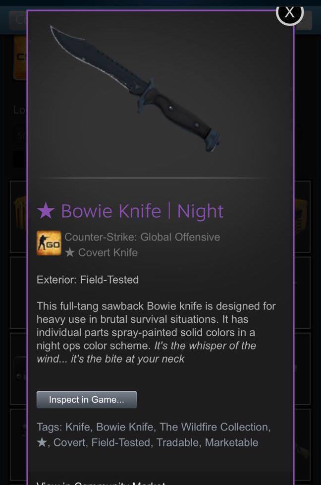 CSGO KNIFE Bowie Knife Night, Video Gaming, Gaming Accessories, Game