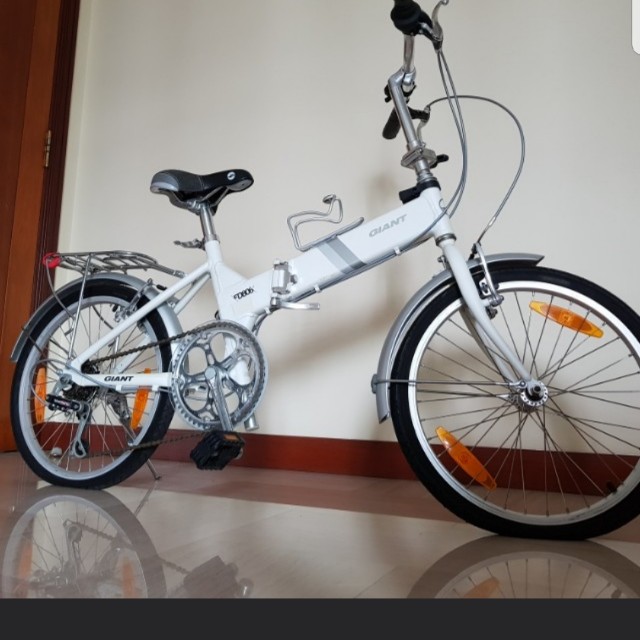 Giant fd806 price 2025