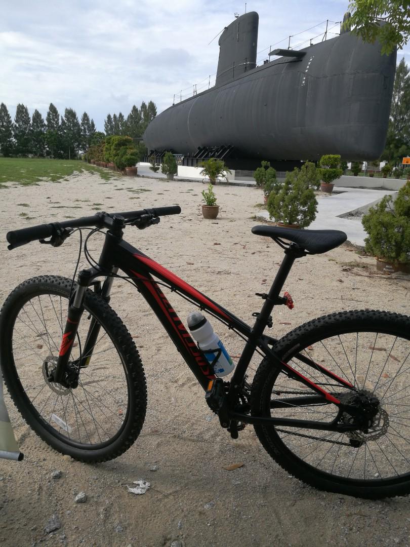 Specialized rockhopper 29 2025 3x8