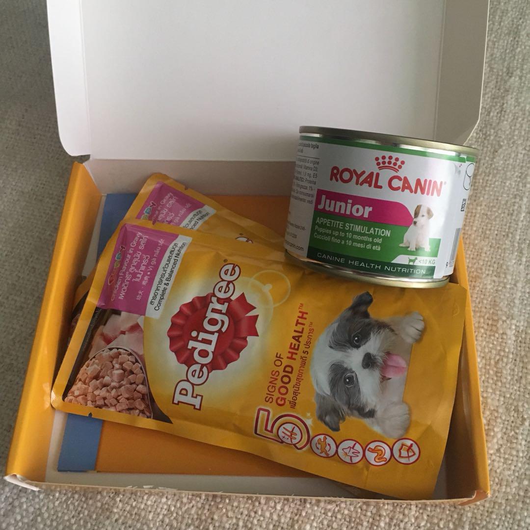 Royal Canin Pedigree Pets Supplies Pet Food On Carousell