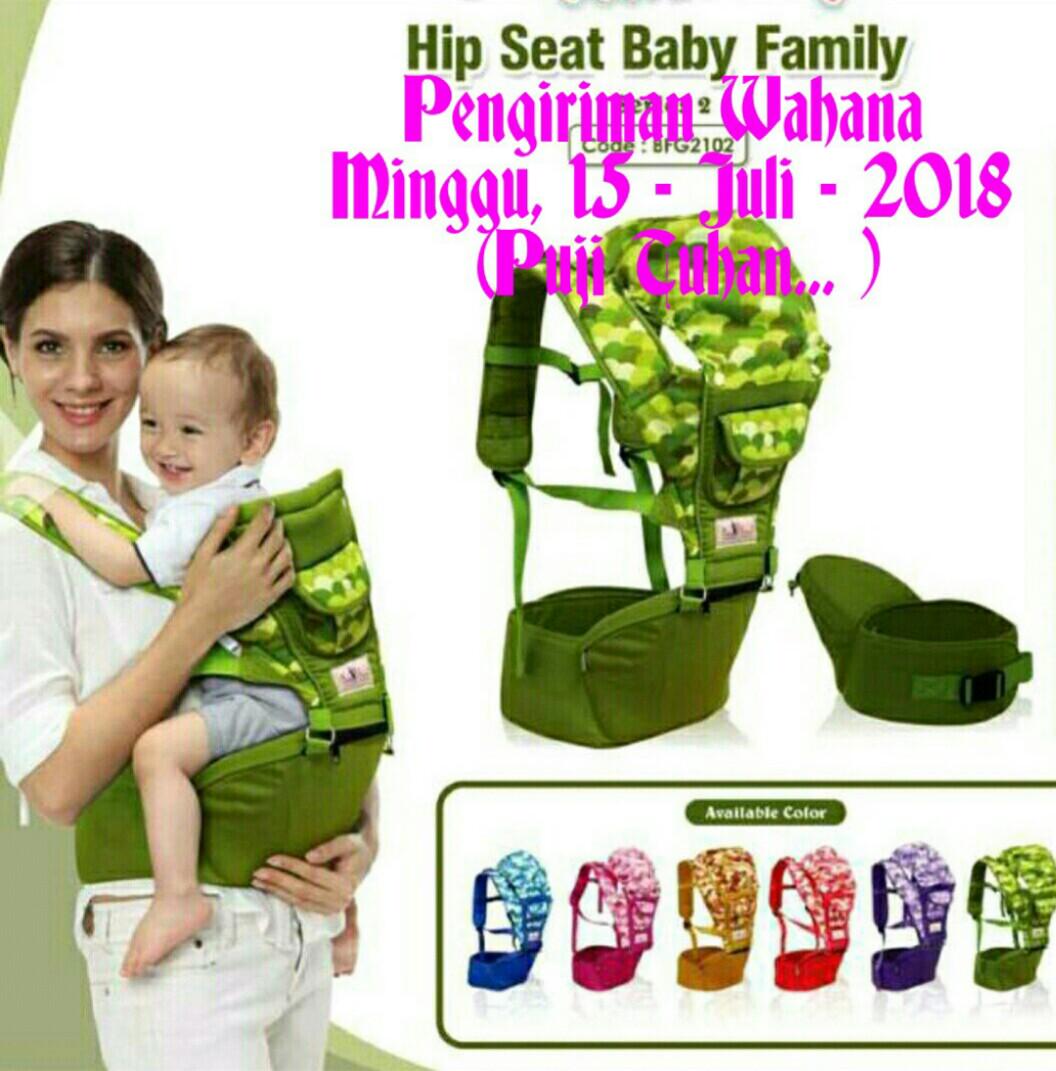 hipseat baby family