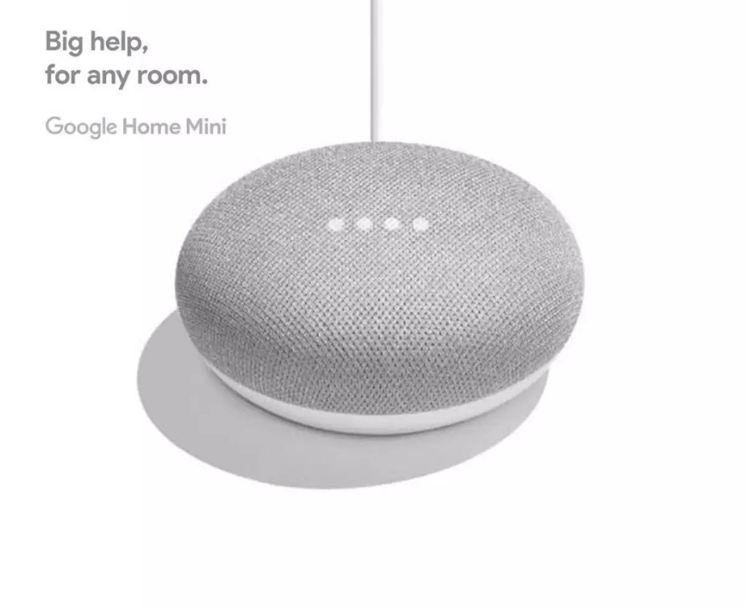 google home mini uk plug