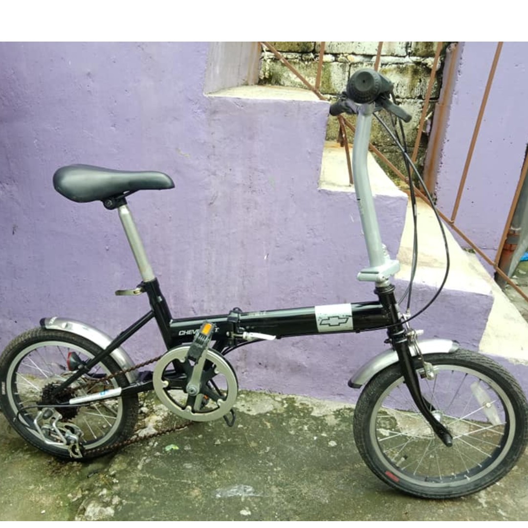 bmx dino 12