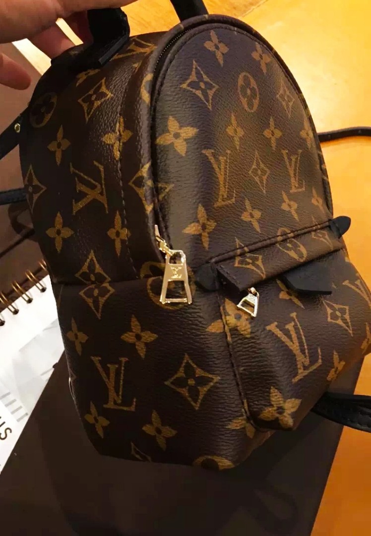Louis Vuitton Palm Springs mini Backpack