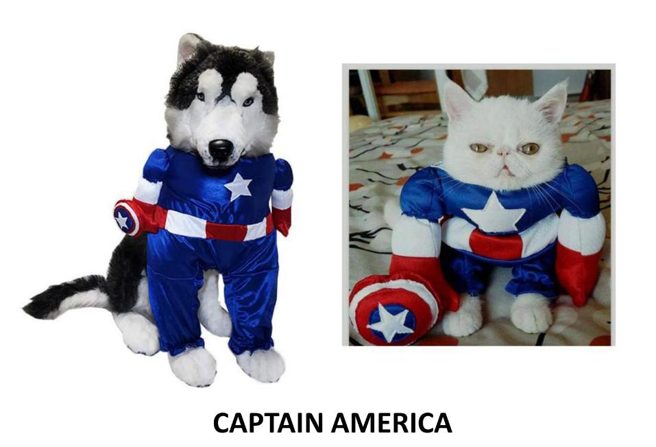 Pet Dog Cat Front Costume Captain America Pets Supplies Pet