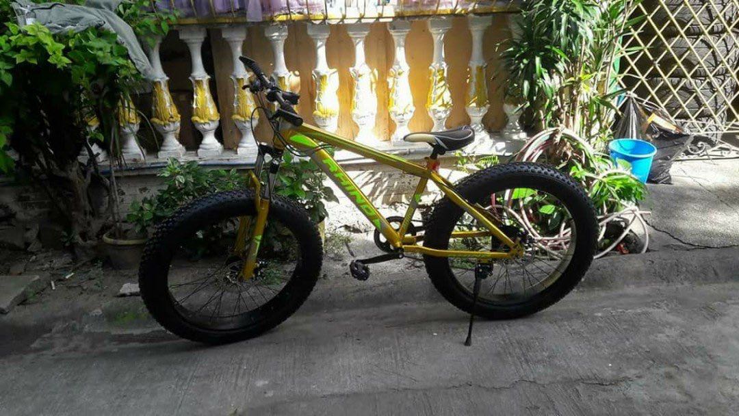 rhino fat bike