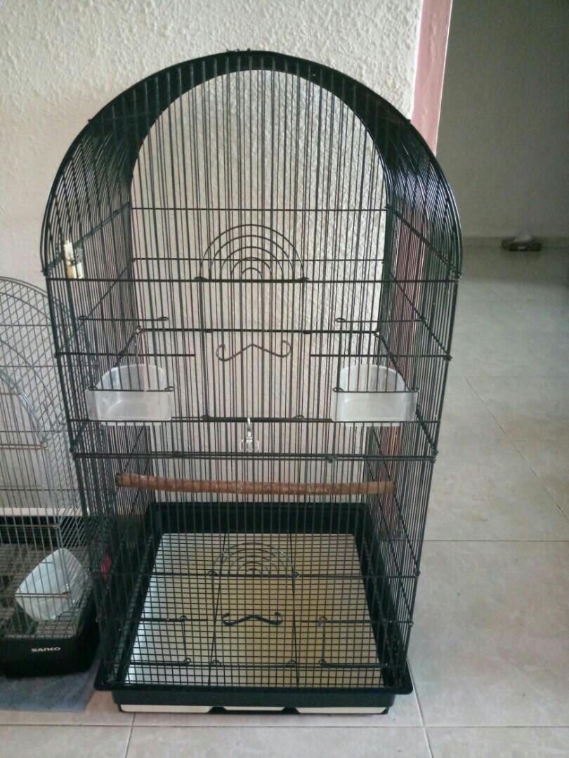 4ft bird cage store