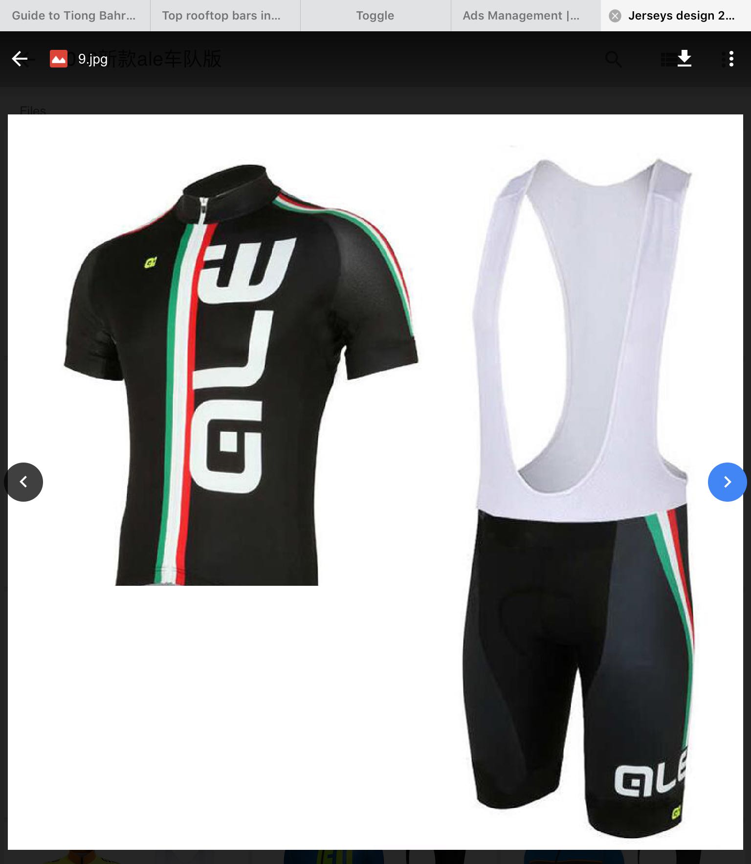 ale cycling jersey
