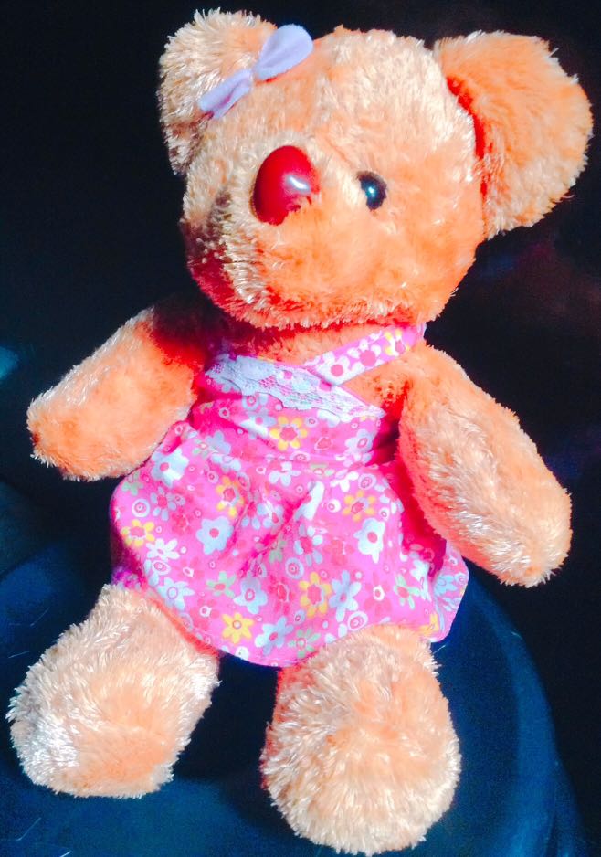 girl teddy bear