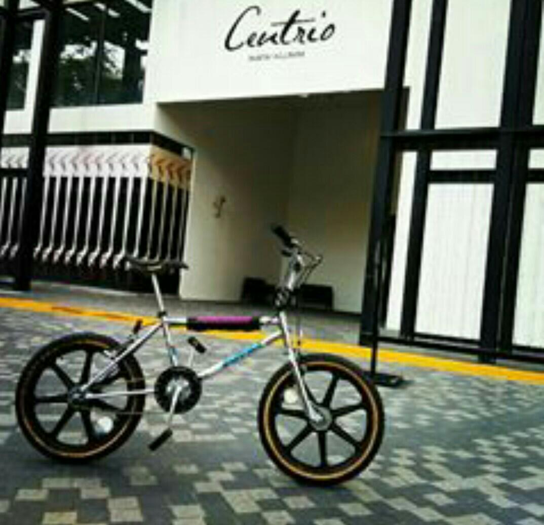 raleigh burner mk2