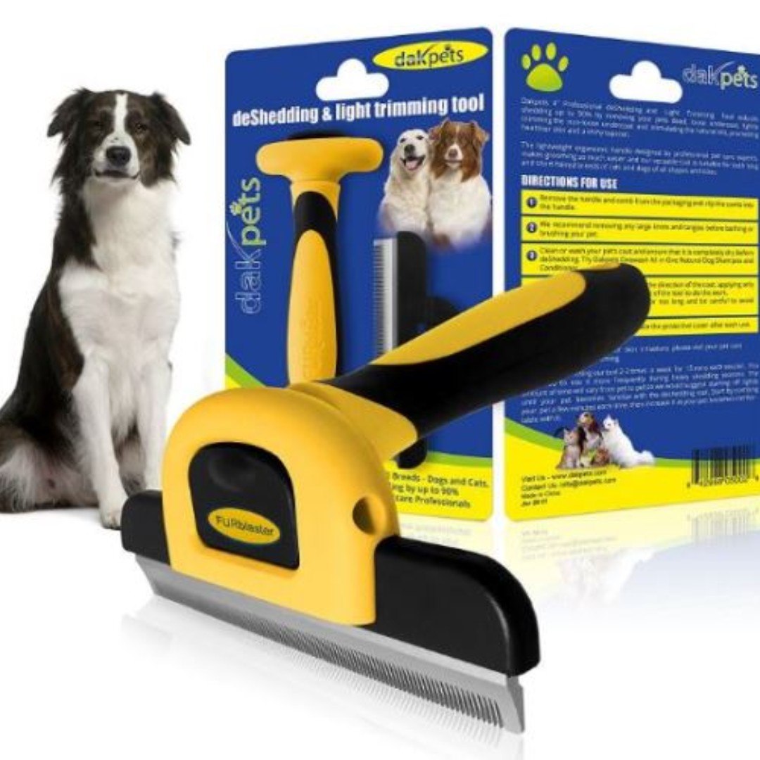 small dog rescue groups