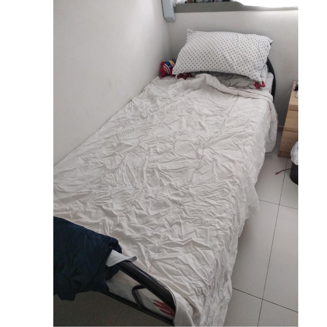 Free Mattress Bedframe Self Pickup Furniture Beds