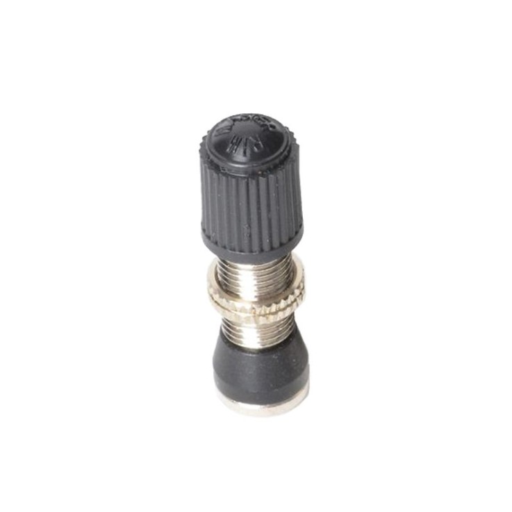 schrader tubeless valve