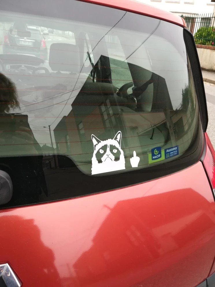 Cute Car Decal Sticker Grumpy Cat Claw Nail Middle Finger Flipping Off Cute Car Sticker Automobiles Car Styling Car Accessories Accessories On Carousell