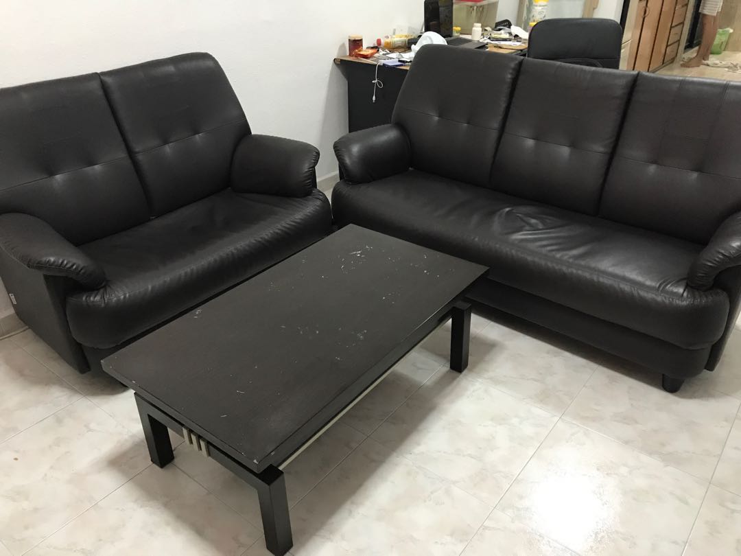 Leather Sofa Used